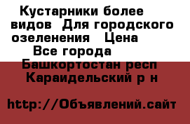 Кустарники более 100 видов. Для городского озеленения › Цена ­ 70 - Все города  »    . Башкортостан респ.,Караидельский р-н